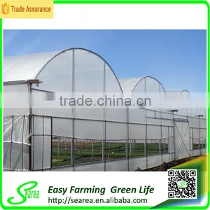 Economical Plastic Agriculture Greenhouse thumbnail-2