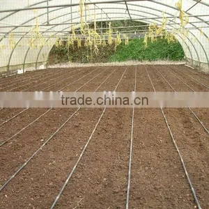 Simple Structure Tunnel Greenhouse For Vegetables/Flowers/Fruits thumbnail-4