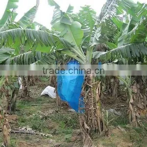 Fabric UV Resistant Banana Bunching Cover Use for Agriculture thumbnail-2