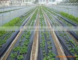 PE Plastic Film for Greenhouse/mulch/construction thumbnail-1