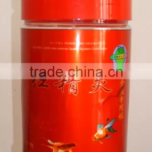 Fish Food thumbnail-1
