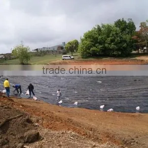 Factory Price HDPE Geomembrane Films thumbnail-2