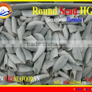 FROZEN HGT ROUND SCAD thumbnail-1