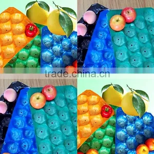 Laizhou Pengzhou Plastic Alveolus Fresh Fruits PP Trays thumbnail-5