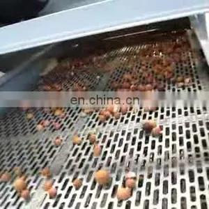 Hot Sale Walnut Shelling Machine Almond Cracker Hazelnut Cracking Machine thumbnail-1
