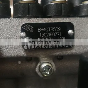 Genuine Injection Pump 4QTF74ZH BH4QT85R9 1111010-X48 for Dachai 498 Engine thumbnail-3