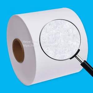 Hot-Air Ginning, Perforated Nonwoven thumbnail-3