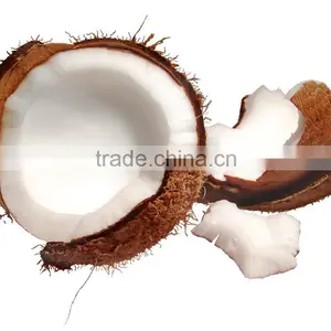 Good Price Fresh Coconut for Export From Vietnam/ Fresh Young Coconut Meat thumbnail-1