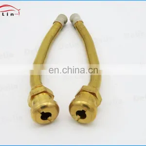 DeLin Hot Sell V3.20.11 Tube Metal Clamp-in Truck Bus Tire Valve thumbnail-1