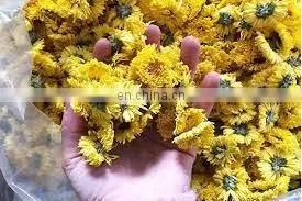 Chrysanthemum Tea Extracted From Chrysanthemum Flower the Optimal Choice for Your Health From Vietnam thumbnail-3