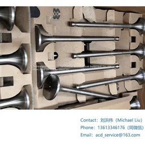 DAIHATSU DAIHATSU 5DK20 DAIHATSU 6DK20 EXHAUST VALVE E205850040Z thumbnail-1