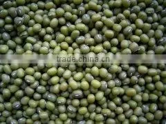 Green Mung Beans Hand Cleaned thumbnail-1