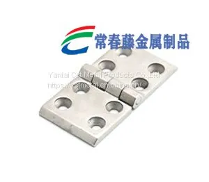 Stainless Steel Hinge thumbnail-1
