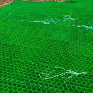 5cm7cm Flower Mouth Flat Mouth Grass Green Parking Lot Fire Lane Roof Garden Grass Planting Grid thumbnail-5