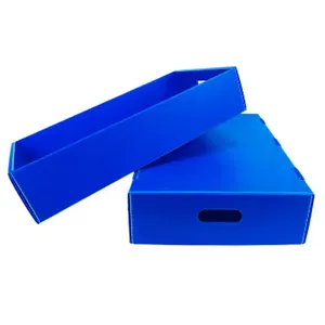Custom PP Corrugated Plastic Seafood Packaging Boxes for Fish & Shellfish Transport thumbnail-3