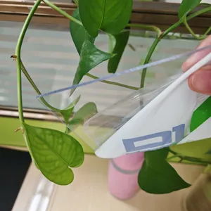 Polycarbonate Solid Sheet thumbnail-1