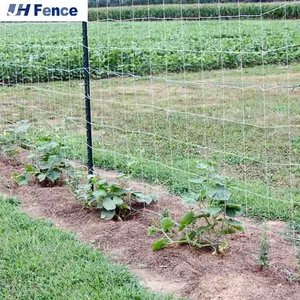 Cheap Price Chinese Factory Black Steel Fence Post / Y Fencing Pole / Star Picket With Cattle Fence thumbnail-2