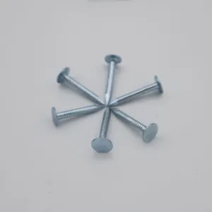 Flat Head Roofing Nails 1kg Box Galvanized Steel for Building Materials Wholesale thumbnail-5