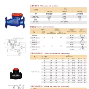GB PN10 PN16 Grey Iron Cast Iron HT200 Flange Metal Seal Swing Start Type Check Valve Factory Direct thumbnail-6