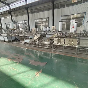 Fully Automatic Tofu Skin Production Line, One - Key Operation for Soy Products, Adjustable Thickness of Tofu Skin, Made of Stainless Steel thumbnail-2