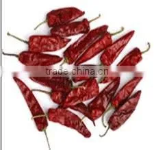 Wholesale Top Quality Jinta Red Pepper thumbnail-1