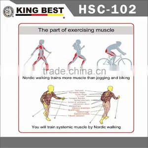 KING BEST Wholesale Carbon Trekking Pole 2-SECTION Hiking Pole Nordic Walking Stick thumbnail-4