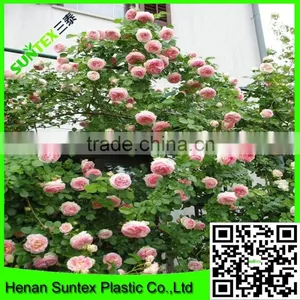 SUPER Wire Mesh Back Support for Growing Plants Climbing Plant Support Mesh thumbnail-5
