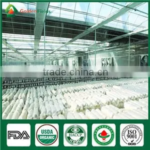 Mushroom Spawn for Sale,Shiitake Mushroom Spawn Wholesale Supplier thumbnail-3