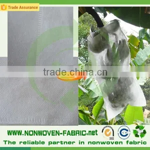 Agriculture pp Spunbond Nonwoven Fabric /agriculture Ground Cover for Plant,flower,fruit Protection thumbnail-3