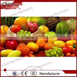 Industrial Watermelon Juice Extract Machine thumbnail-1