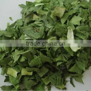 Chinese Producer of Green Onion Leeks thumbnail-1