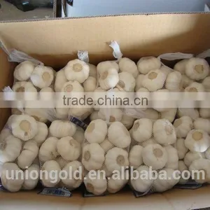 Chinese Fresh White Galic thumbnail-2