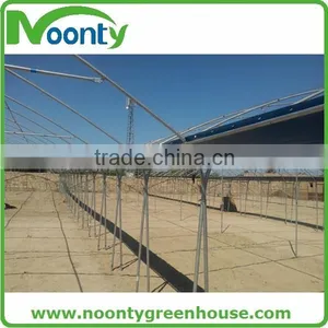Multi Tunnel Greenhouse thumbnail-6