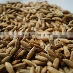 Oats, Rye and Rice Bran thumbnail-2