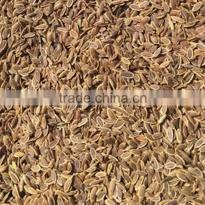 Dil Seeds thumbnail-1