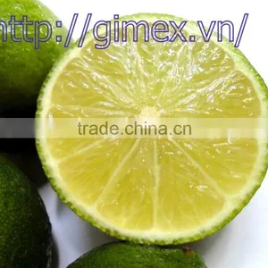 Fresh Lime VIET NAM 2015 thumbnail-3