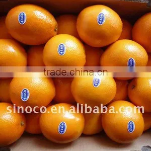 Buy Navel Oranges thumbnail-1