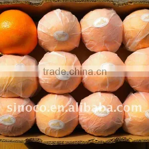 Fresh Navel Orange Supplier thumbnail-1