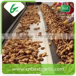 New Crop Fresh Ginger Air Dry Ginger Market Prices for Ginger thumbnail-5