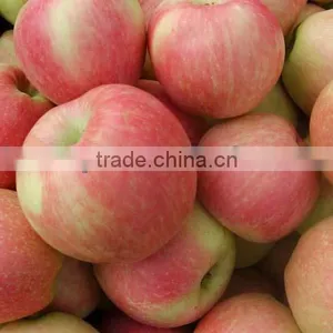 Fresh Apple thumbnail-1