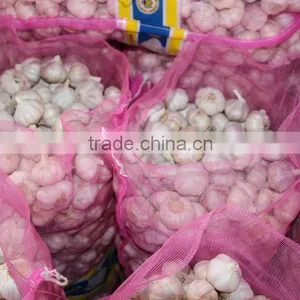 China Natural Fresh Garlic Price From Cold Storage thumbnail-2