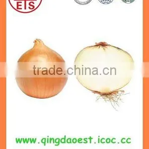 Export Bulk China Fresh New Crop Red and Yellow Onion thumbnail-1