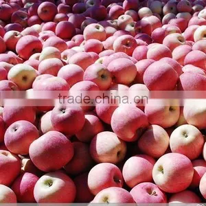 Fresh Fruit Chinese Gala Apple thumbnail-6