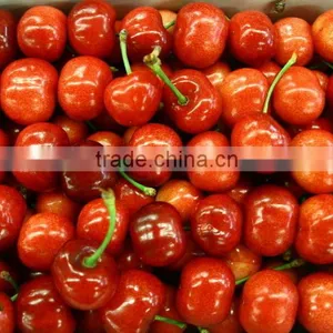 Red Cherry Fruit Tree Seeds for Growing thumbnail-5