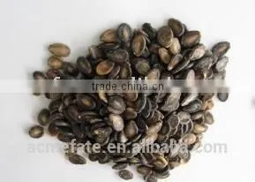 Snacks / Foodstuff / New Crop Black Watermelon Seeds A Grade thumbnail-1