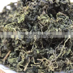Jiaogulan,Fiveleaf Gynostemma Herb,Chinese Herbal Medicine,jiaogulan Herb,jiaogulan Tea thumbnail-5