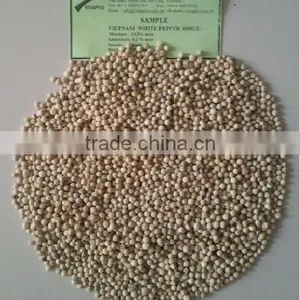 VINAPRO WHITE PEPPER 630G/L (+841657106604 - WHATSAPP) thumbnail-2