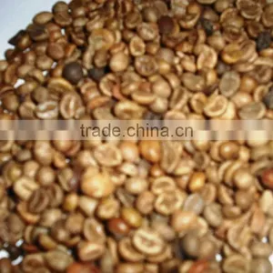 Robusta Green Coffee thumbnail-1