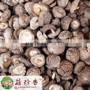 GMP Certified Shitake Mushroom/Lentinus Edodes Extract Lentinan P.E.Polysaccharide thumbnail-1