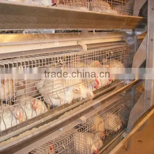 9LCDr-3168 Model H Type 3 Tier Broiler Chicken Cage thumbnail-1